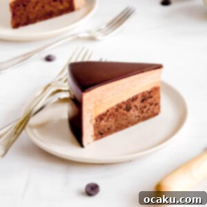 A captivating image of the finished Chocolate and Caramel Mousse Cake.