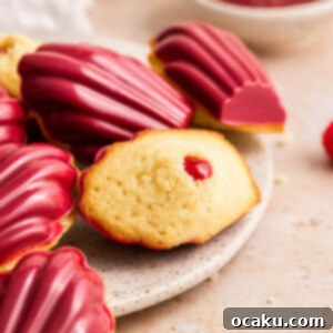 Sweet & Tangy Raspberry Madeleines 5 img 2110 8