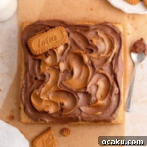 Biscoff Dream Cake 14 Biscoff Cake with Chocolate Buttercream