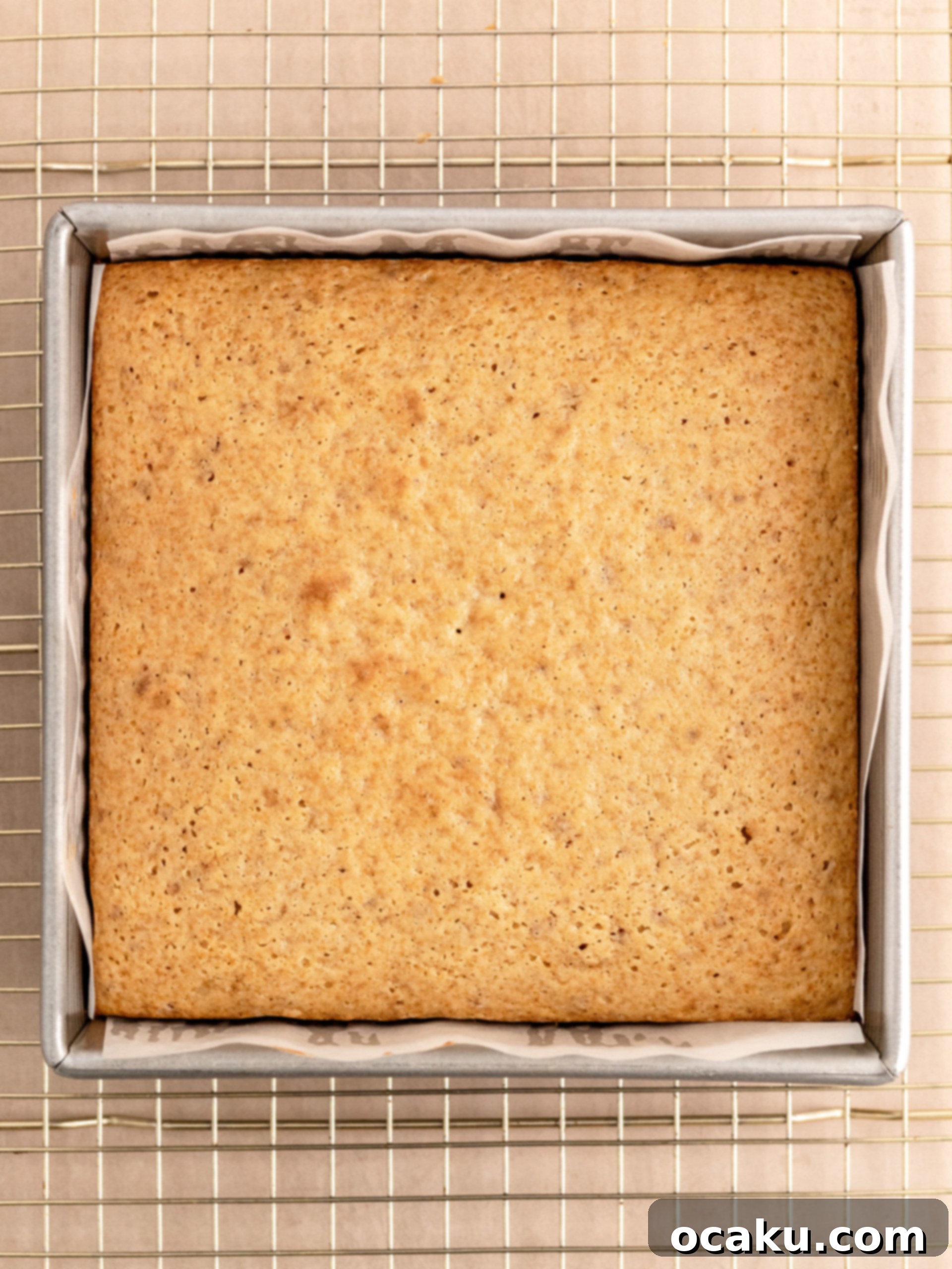 Biscoff Dream Cake 9 Step-by-step image showing the Biscoff cake being leveled if necessary.