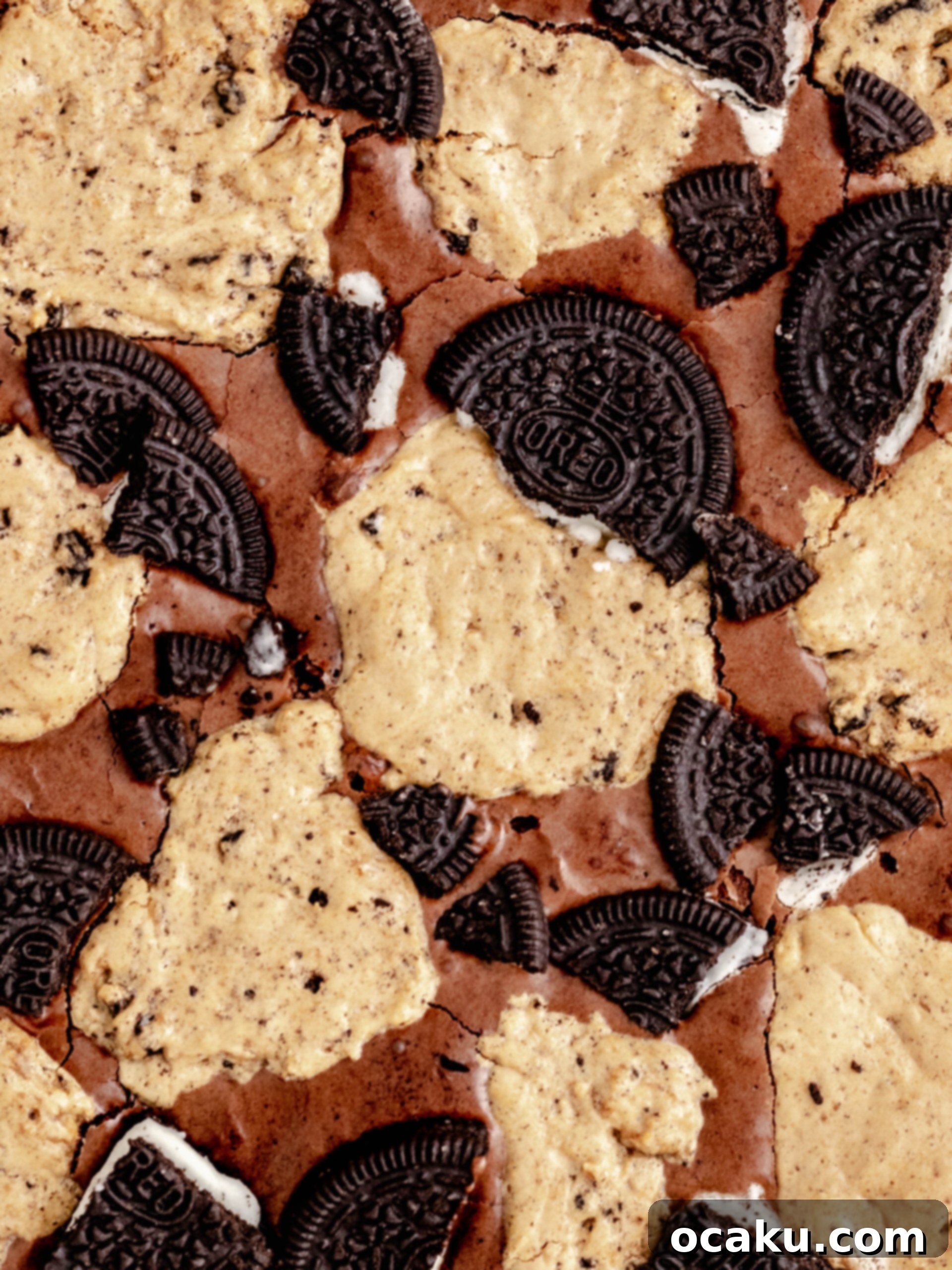 Close-up of the delicious Oreo brookie texture.
