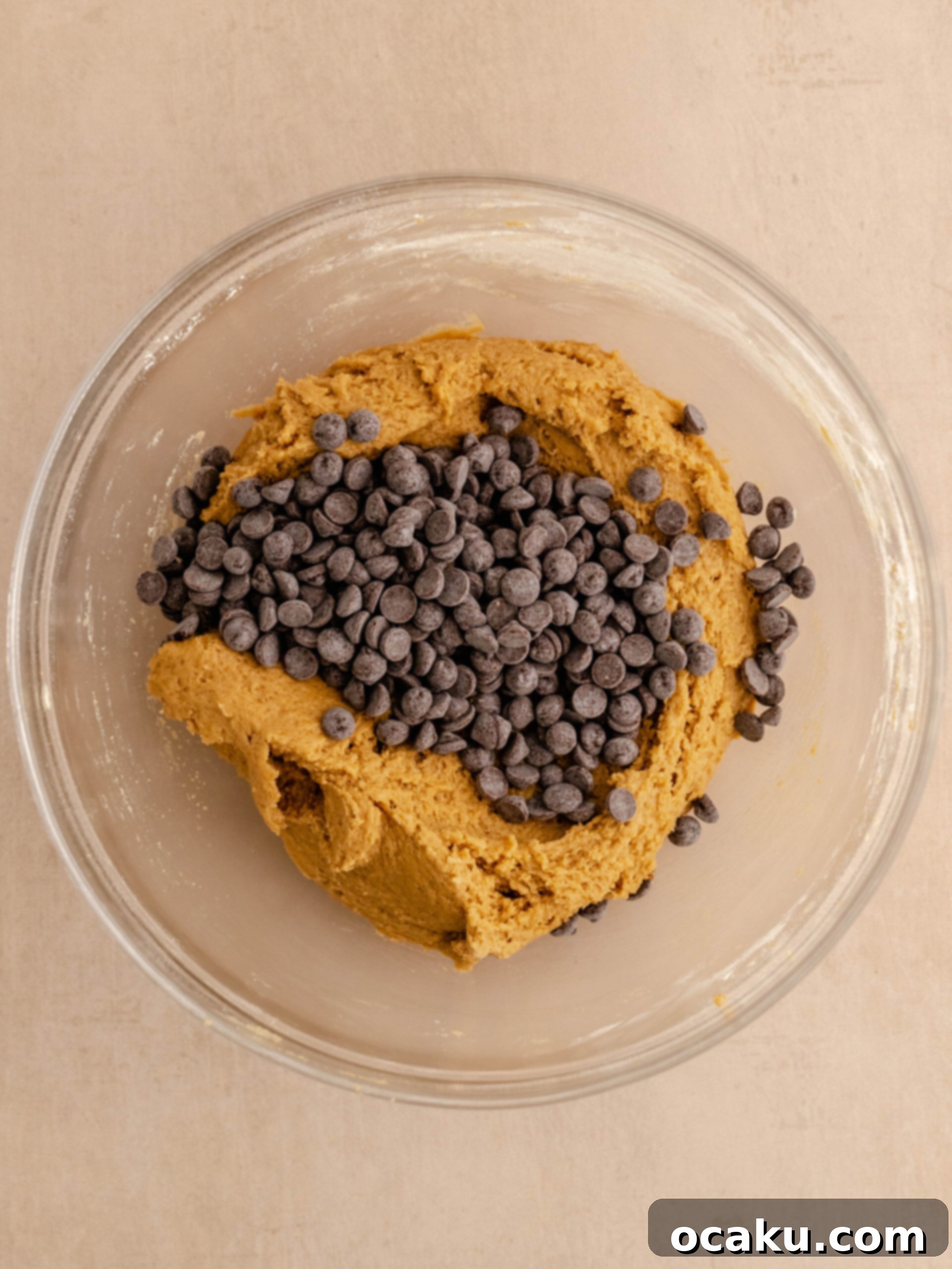 Nutella Peanut Butter Swirl Cookies 7 Chocolate chips generously added to the cookie dough, ready to be folded in.