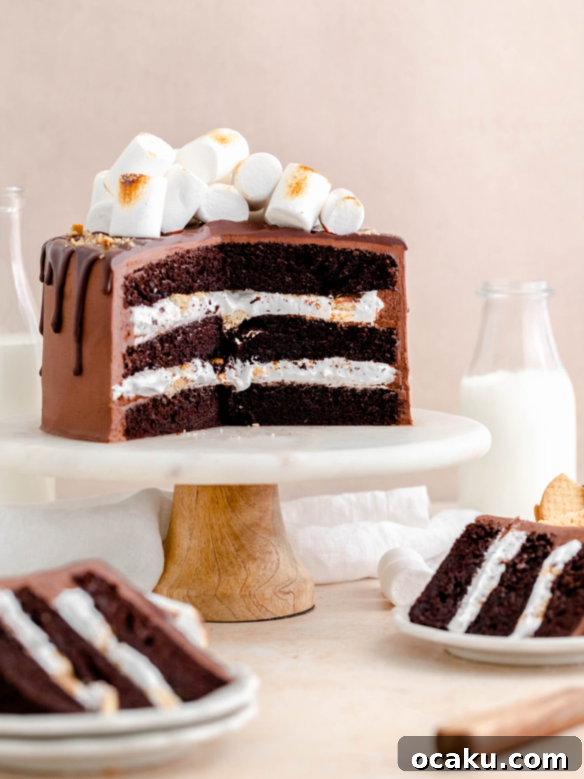 S'mores Dream Cake 2 S'mores layer cake on a cake stand, showcasing layers of chocolate cake, marshmallow, and buttercream.