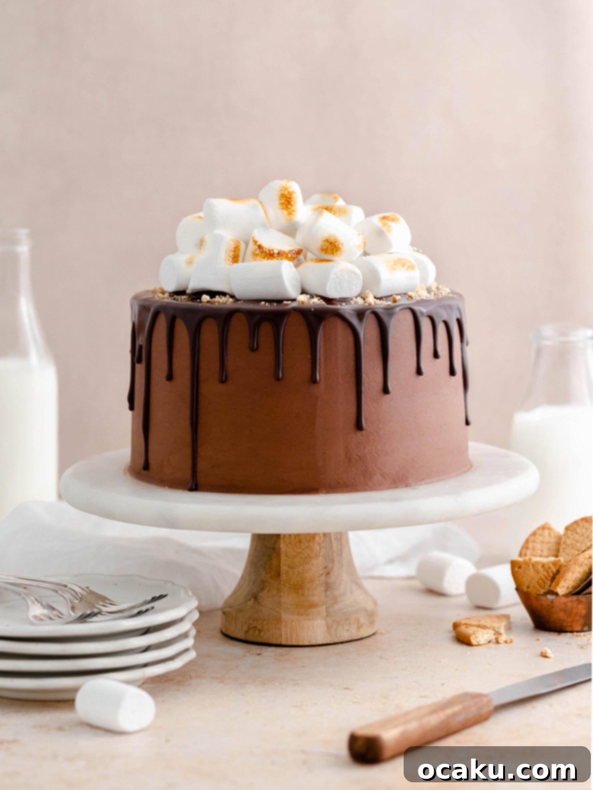 S'mores Dream Cake 3 S'mores layer cake on a cake stand, with a rich chocolate buttercream layer visible