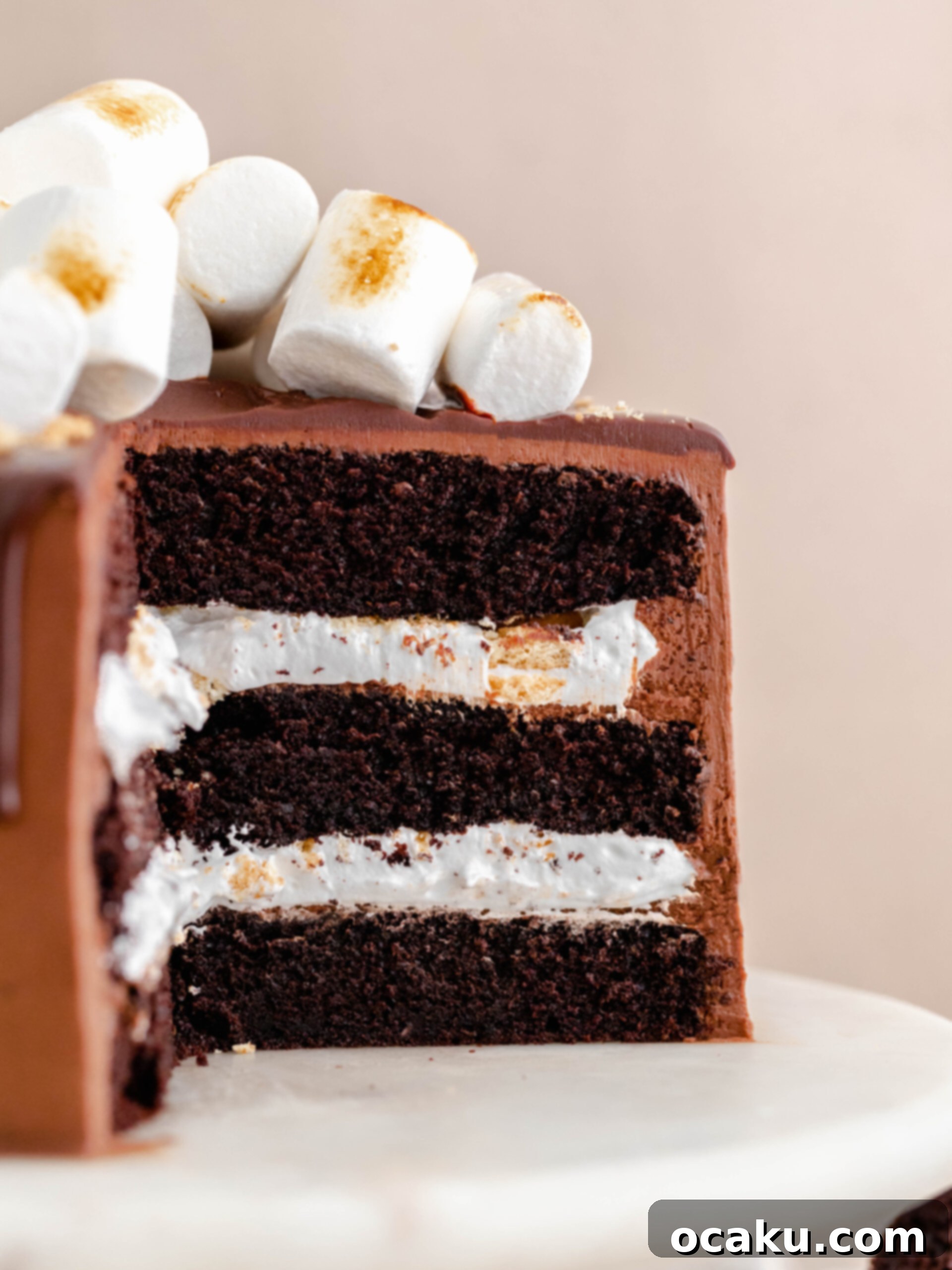S'mores Dream Cake 4 S'mores layer cake being assembled, showing layers of chocolate cake, buttercream, and marshmallow fluff