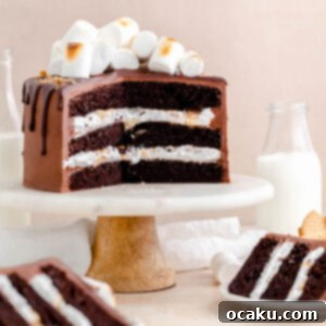 S'mores Dream Cake 6 S'mores Layer Cake