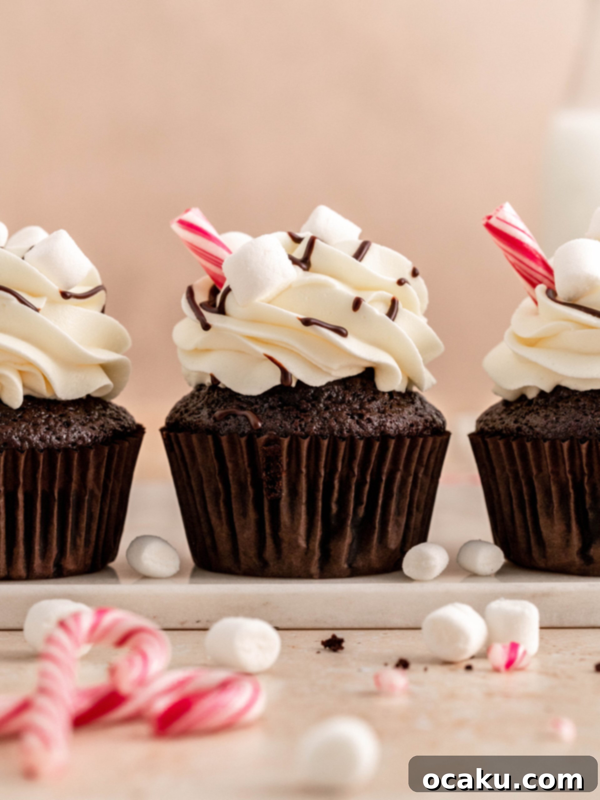 hot chocolate cupcakes