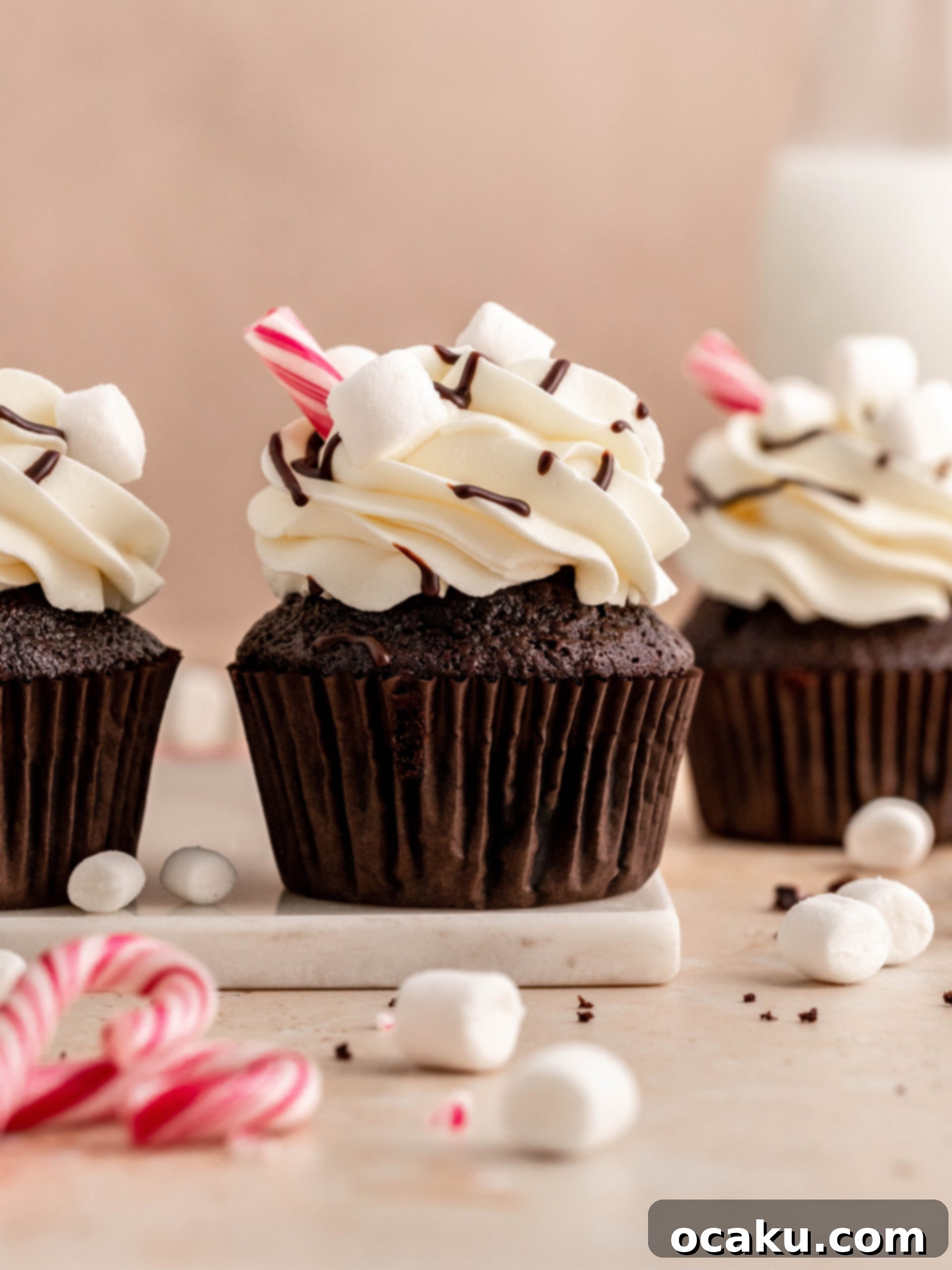 Finish them with decorating with hot fudge sauce, mini marshmallows and candy cans.