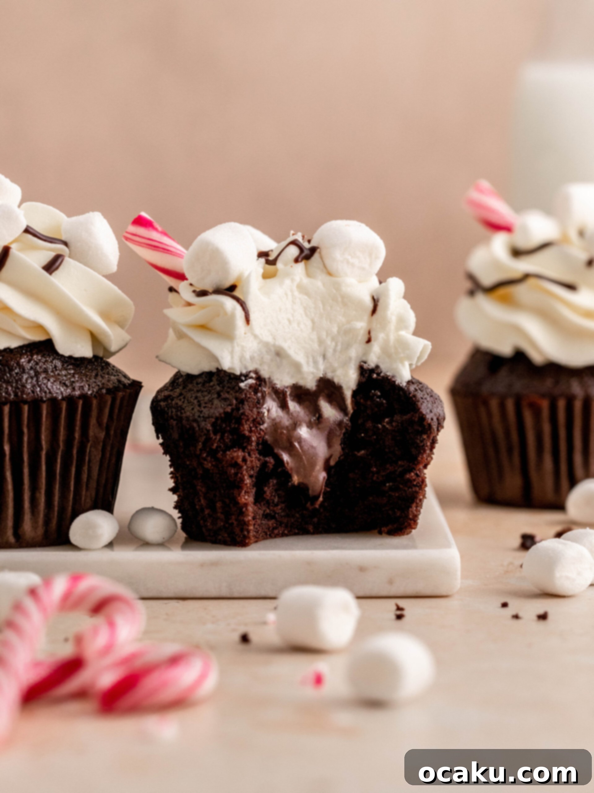 hot chocolate cupcakes