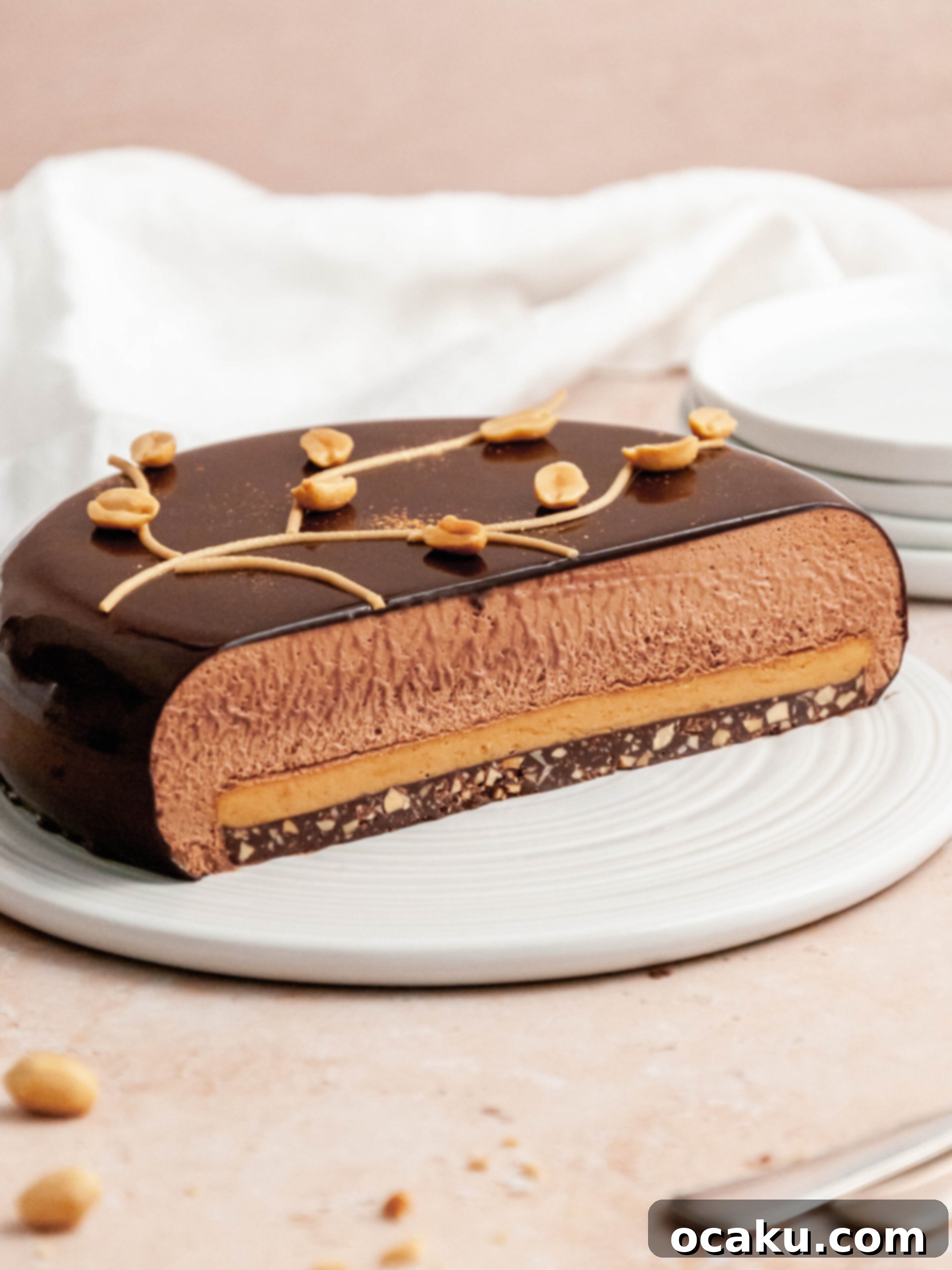 Peanut Butter and Dark Chocolate Mousse Cake
