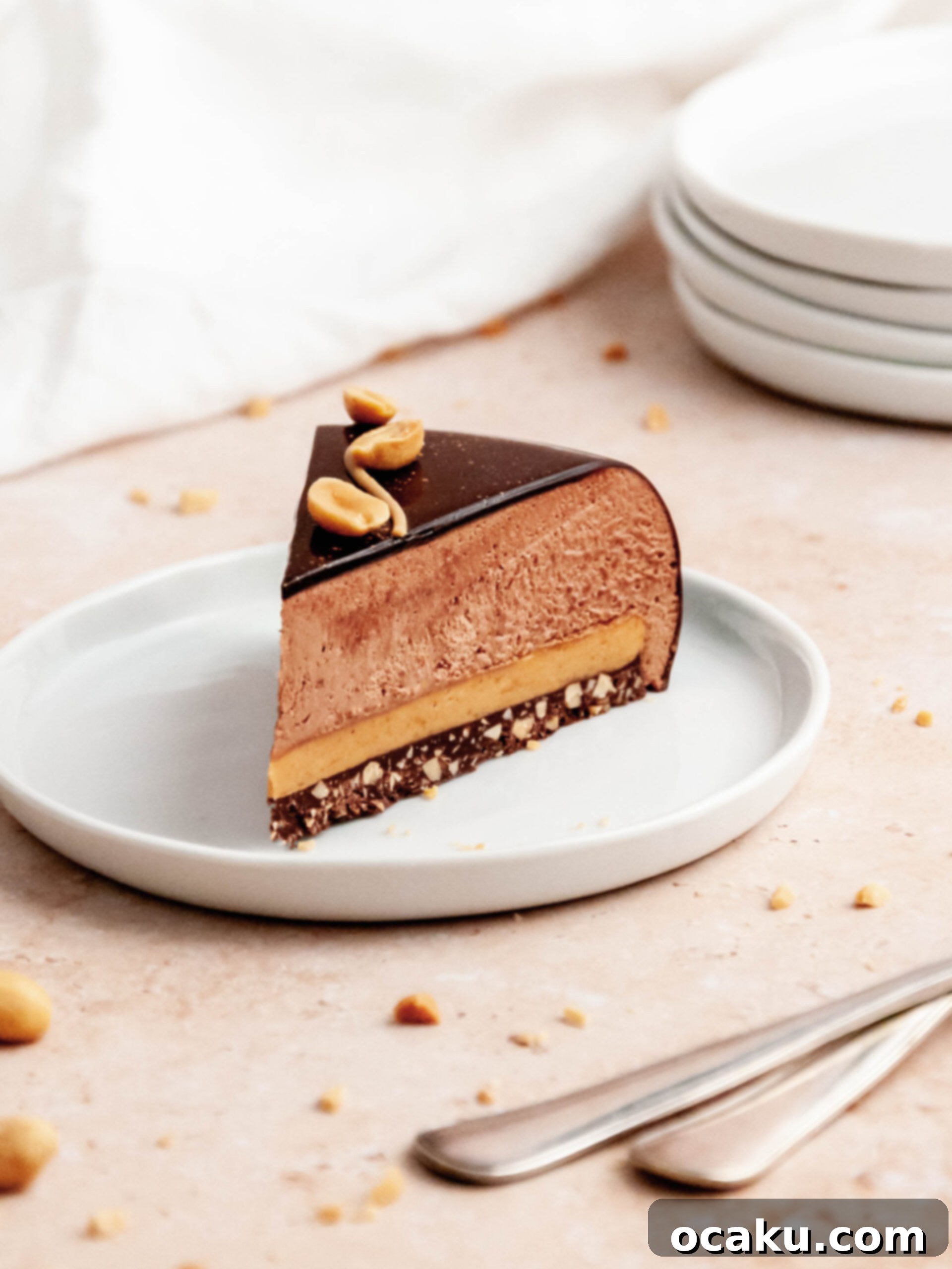Peanut Butter and Dark Chocolate Mousse Cake