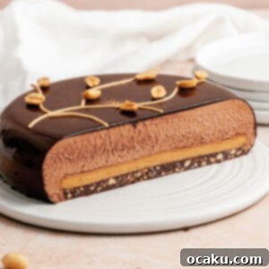 Peanut Butter Dark Chocolate Mousse Cake