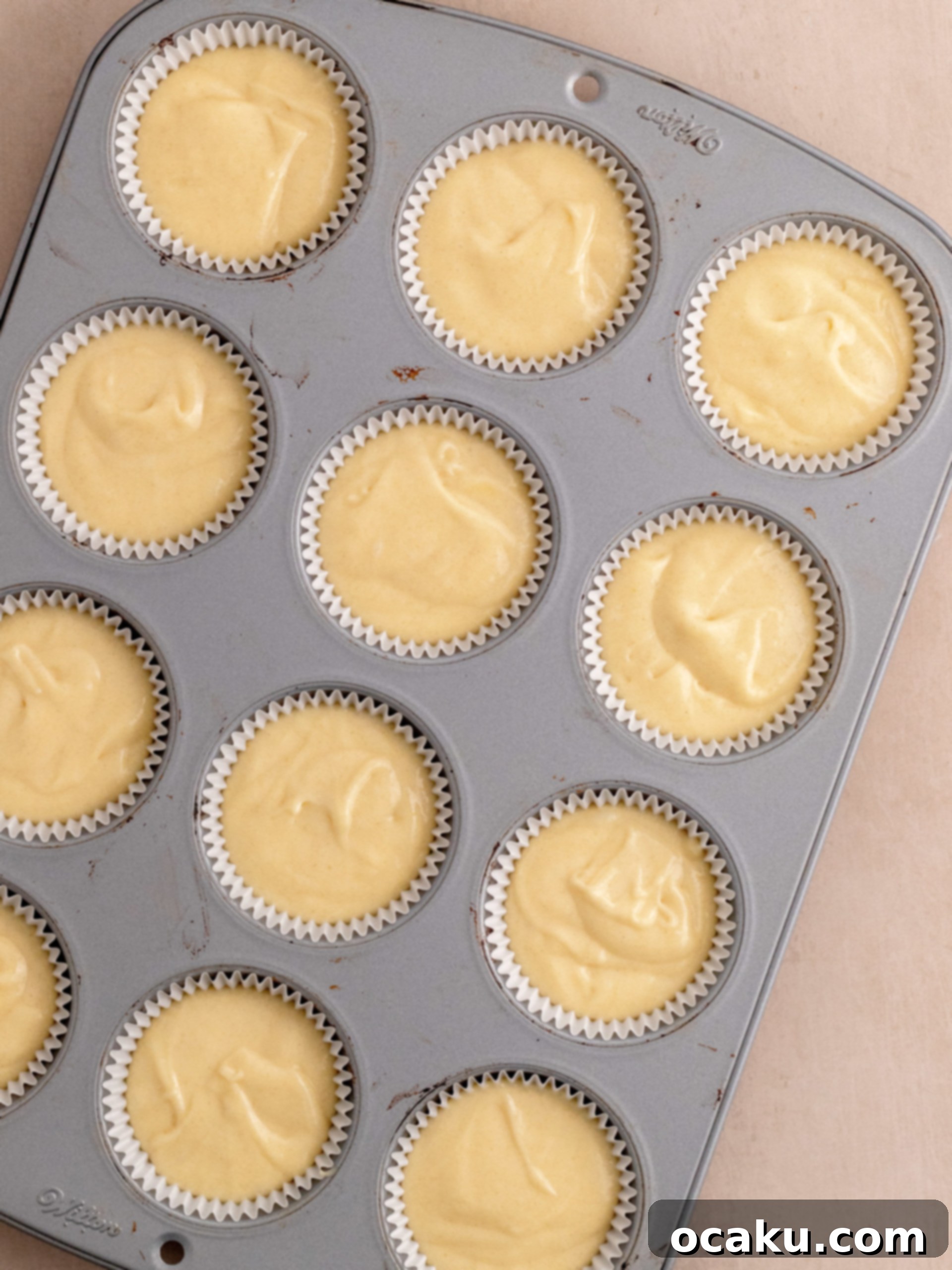Freshly baked vanilla cupcakes cooling on a wire rack