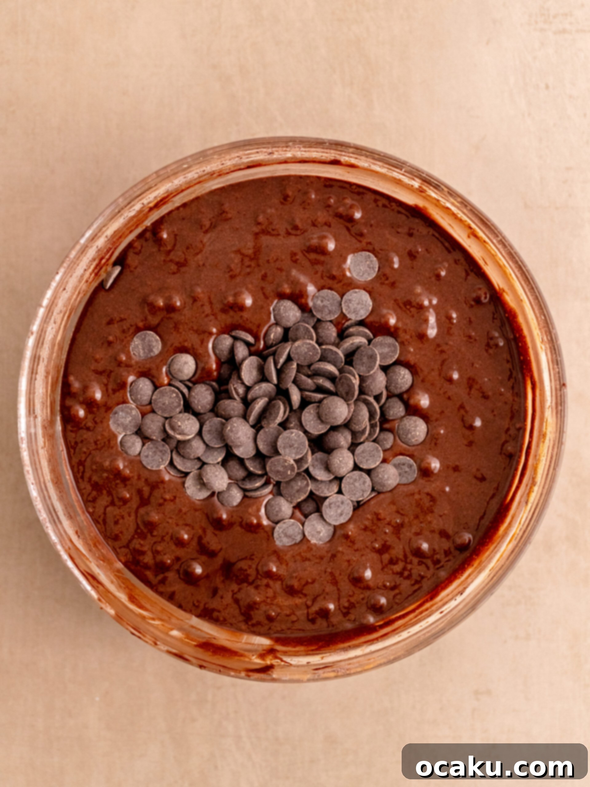 Step 4: Gently fold the sifted flour mixture and extra chocolate chips into the batter using a spatula.