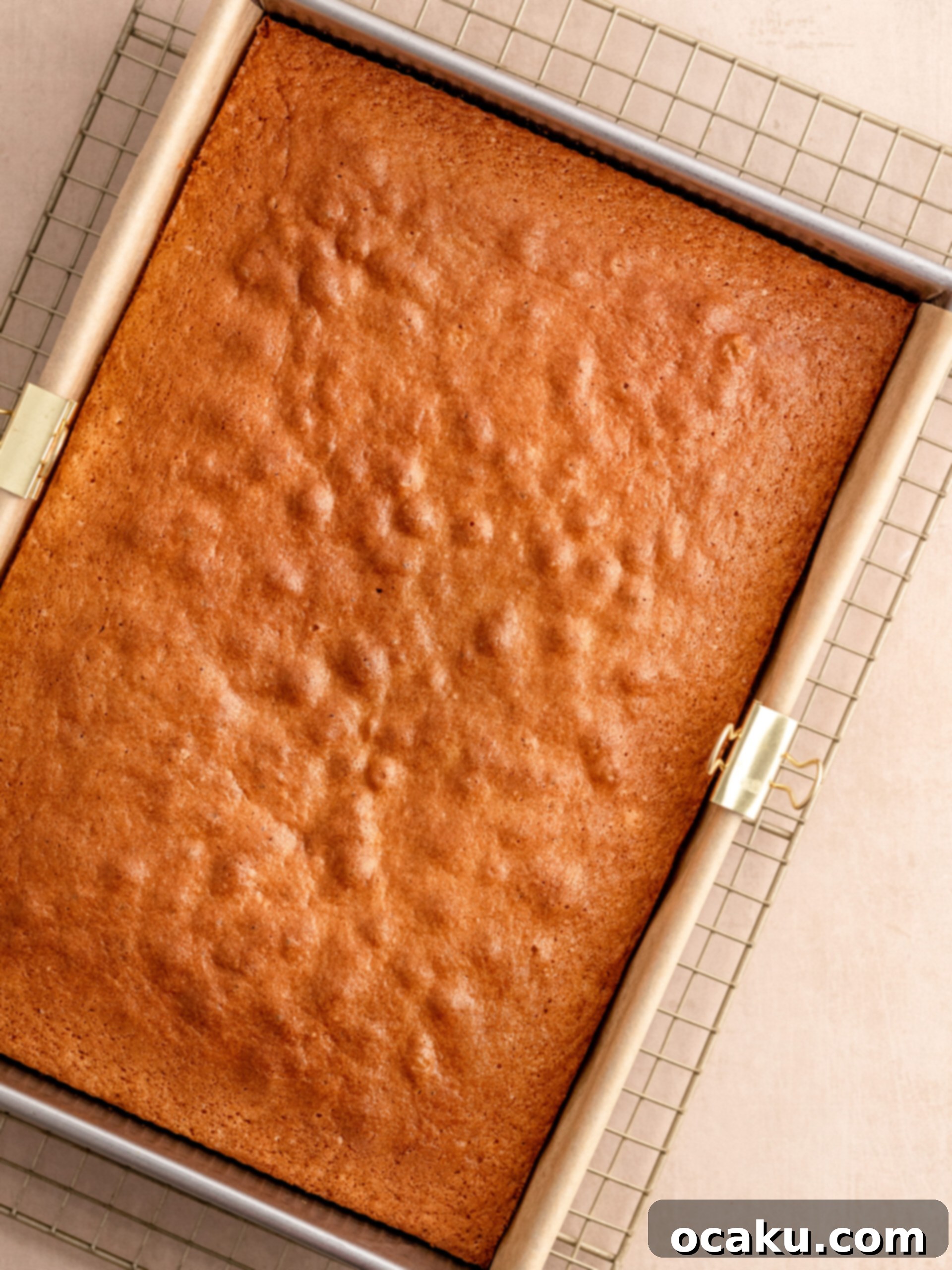 Step 3: Baked cake cooling on a wire rack.