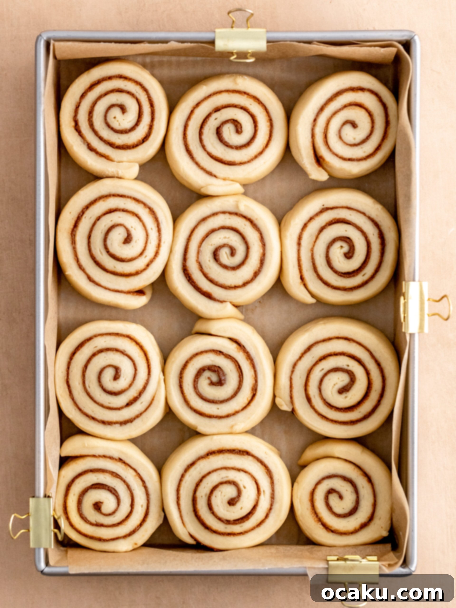 Cinnamon rolls perfectly arranged in a baking tray after their second rise, ready for the oven
