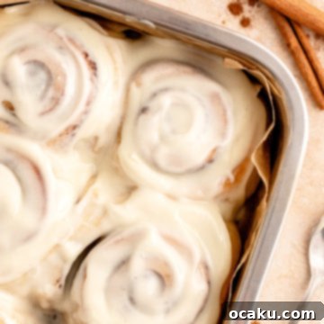 Perfectly Sized Cinnamon Rolls 13 A small batch cinnamon roll, frosted and ready to eat.