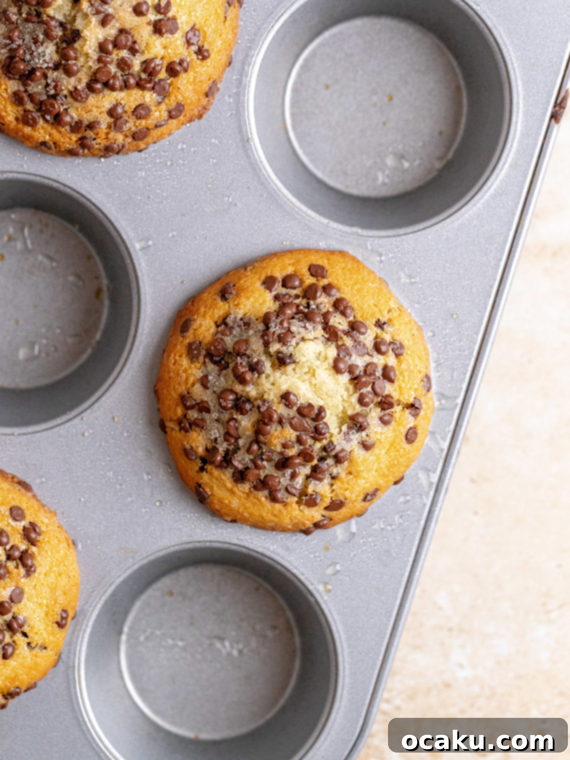 One chocolate chip muffin removed from the pan, showing its perfect domed top.
