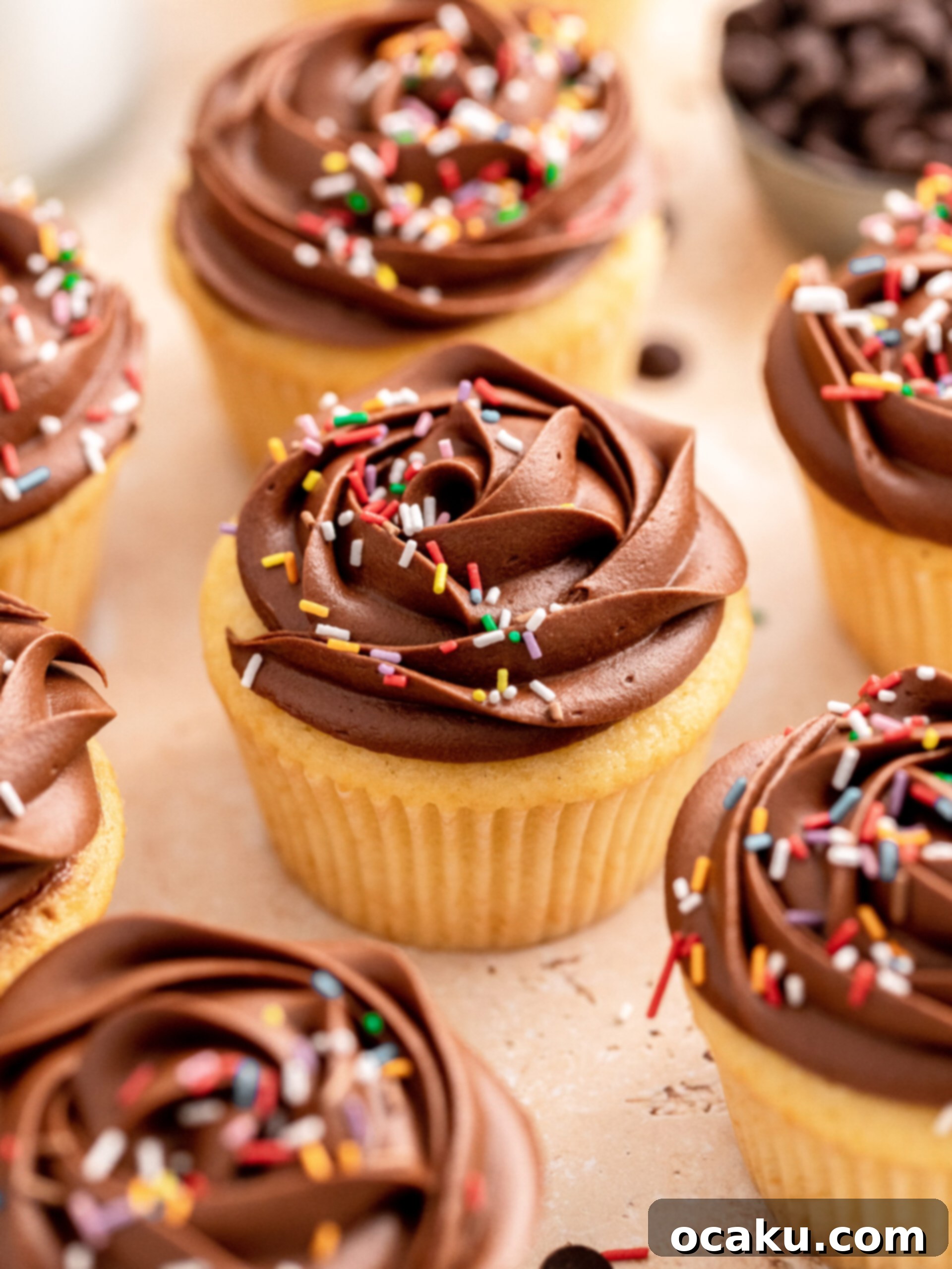 Two beautifully piped chocolate and vanilla cupcakes on a wooden surface, ready to be enjoyed.