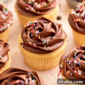 Delicious Chocolate and Vanilla Cupcakes topped with smooth chocolate buttercream and sprinkles.