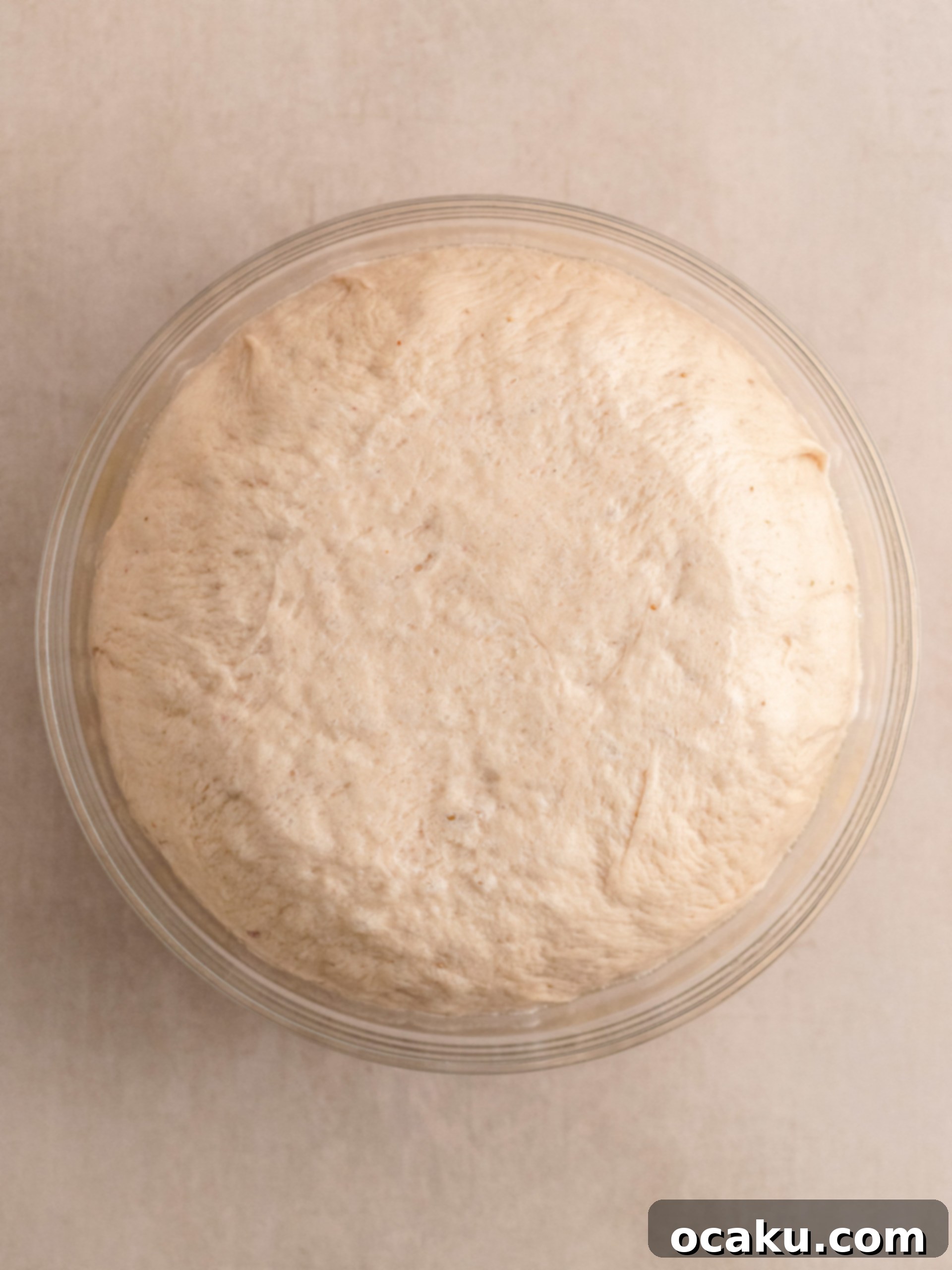 Close-up of neatly cut strawberry rolls arranged in a baking dish, covered for their second rise.