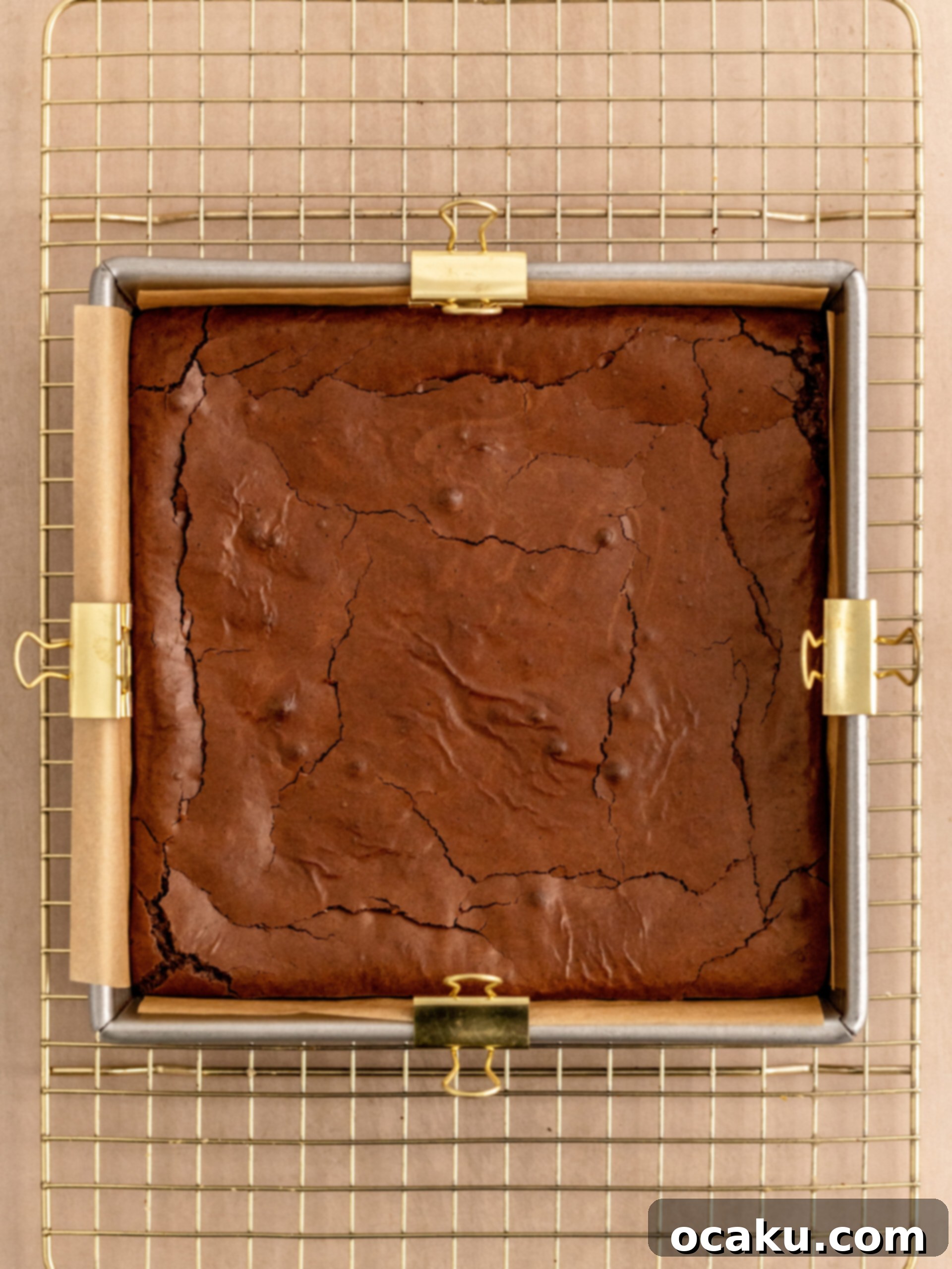 Baked dairy-free brownies cooling in the pan, revealing their shiny, crackly top.