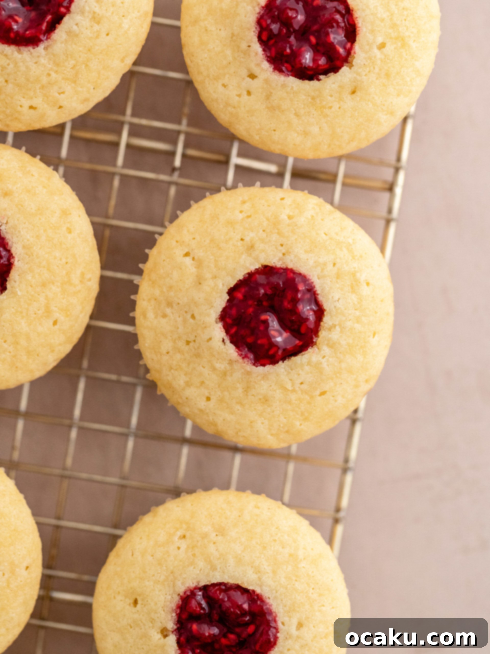 Luscious Raspberry Cupcakes 10 Freeze-dried raspberries being blended into a powder.