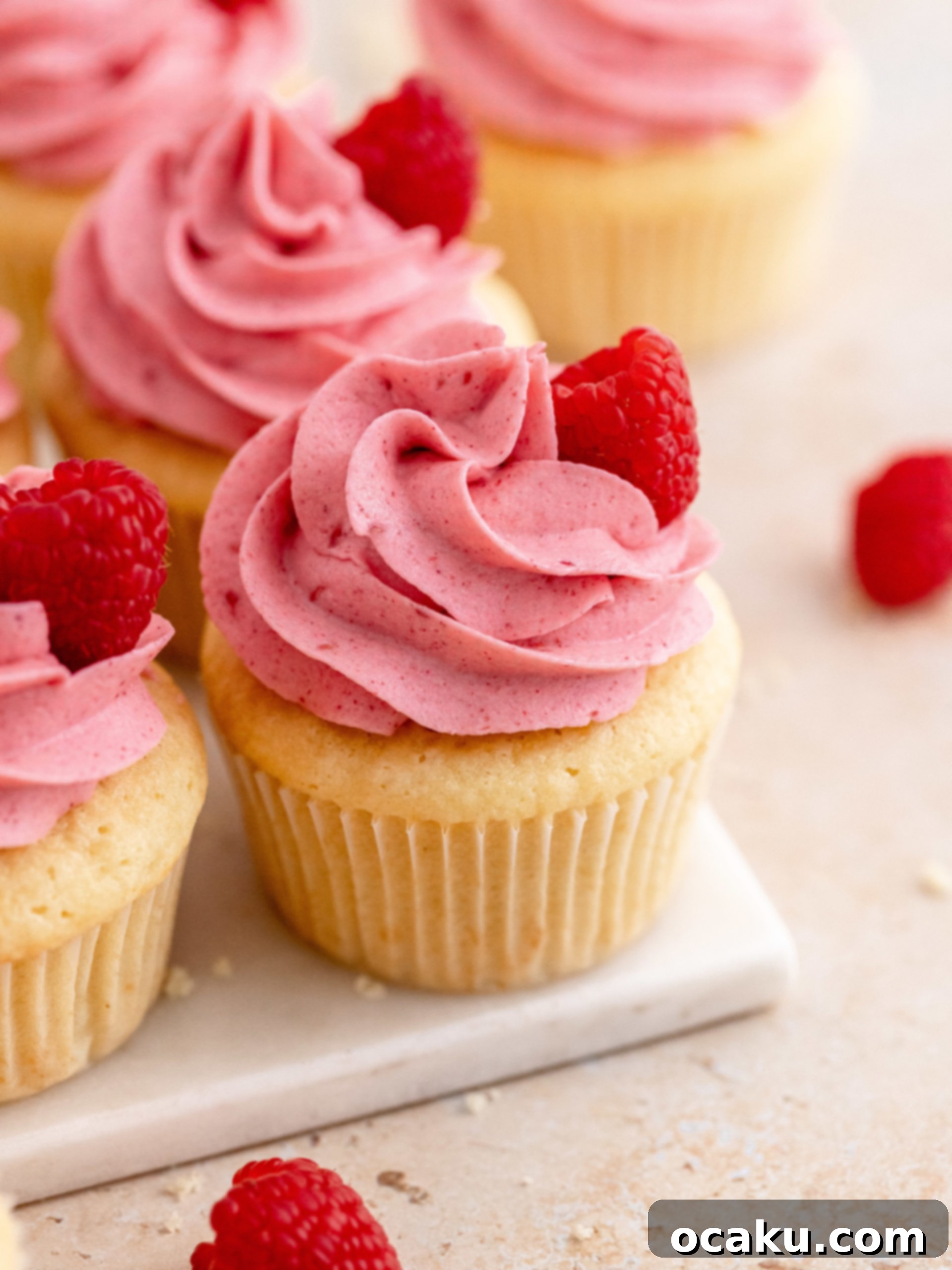 Luscious Raspberry Cupcakes 12 Finished raspberry cupcakes with buttercream swirls and fresh raspberries.