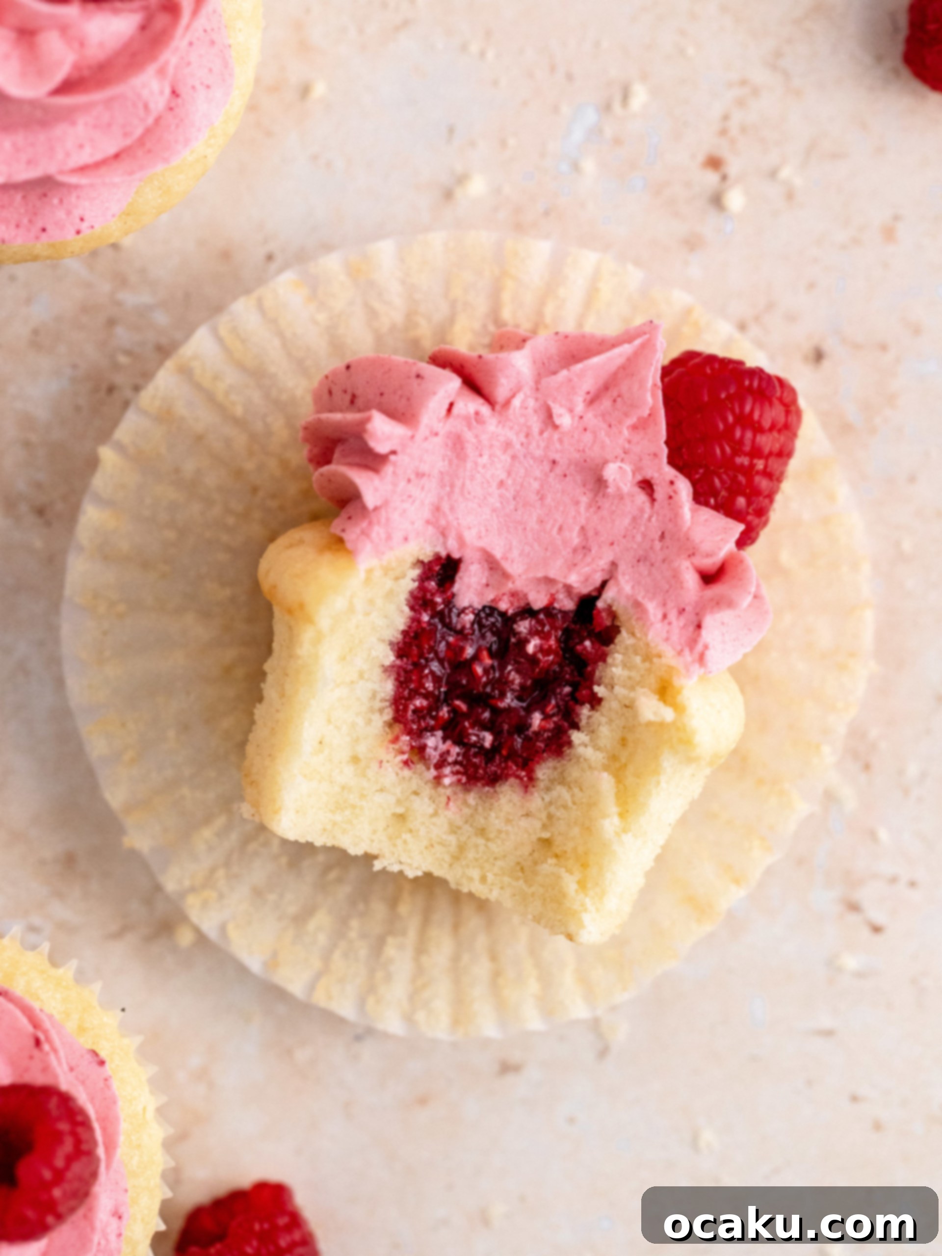 Luscious Raspberry Cupcakes 14 A plate of two beautifully decorated raspberry cupcakes.