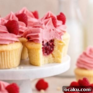 Luscious Raspberry Cupcakes 15 A finished raspberry cupcake, ready to be eaten.