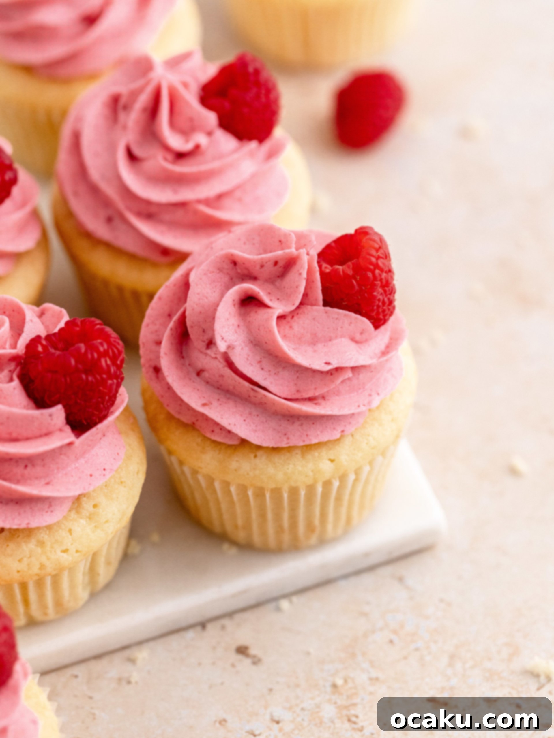 Aperol Spritz Cheesecake Close-up of a raspberry cupcake, showing the swirl of pink buttercream.