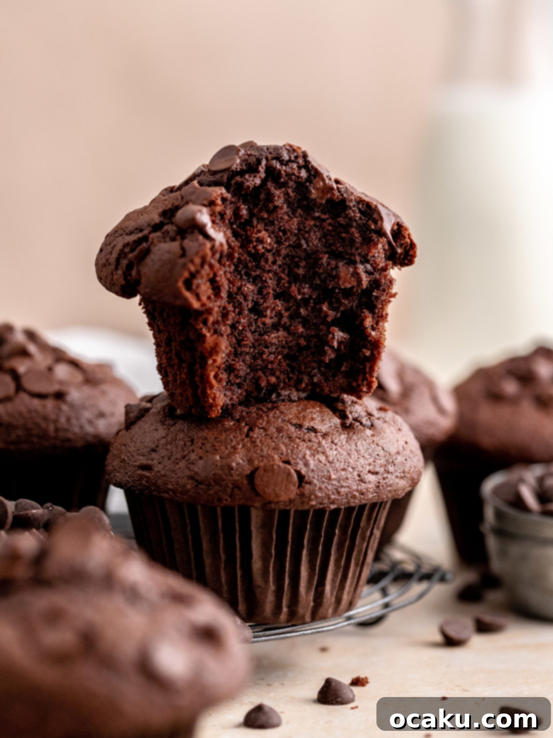 Delicious Triple Chocolate Muffins with crispy tops, ready to be enjoyed.