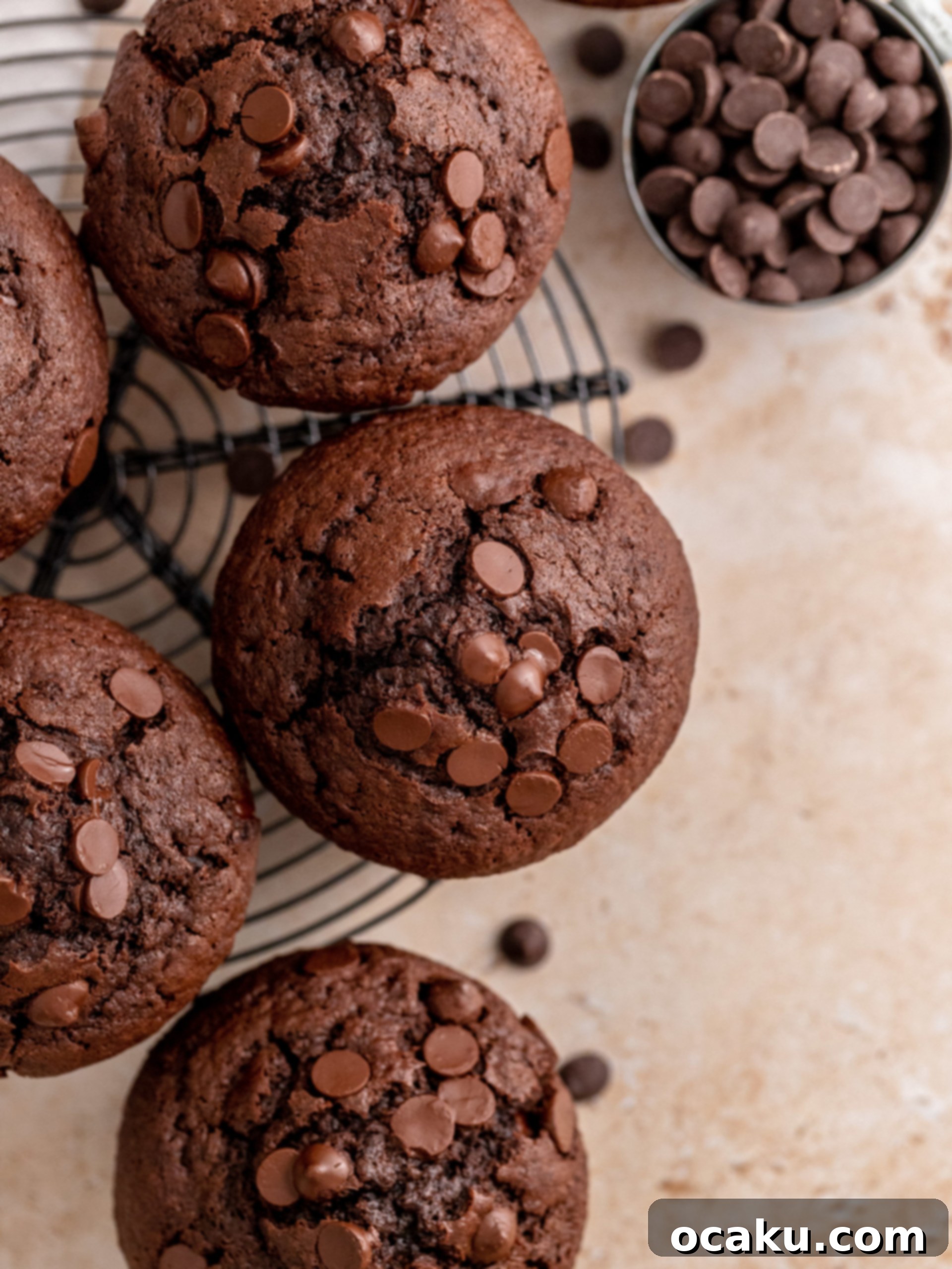 Close-up of baked Triple Chocolate Muffins, showing their rich color and chocolate chips.