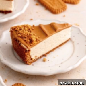 Caramelized Biscuit Cheesecake 13 Biscoff Cheesecake with topping and crumbs