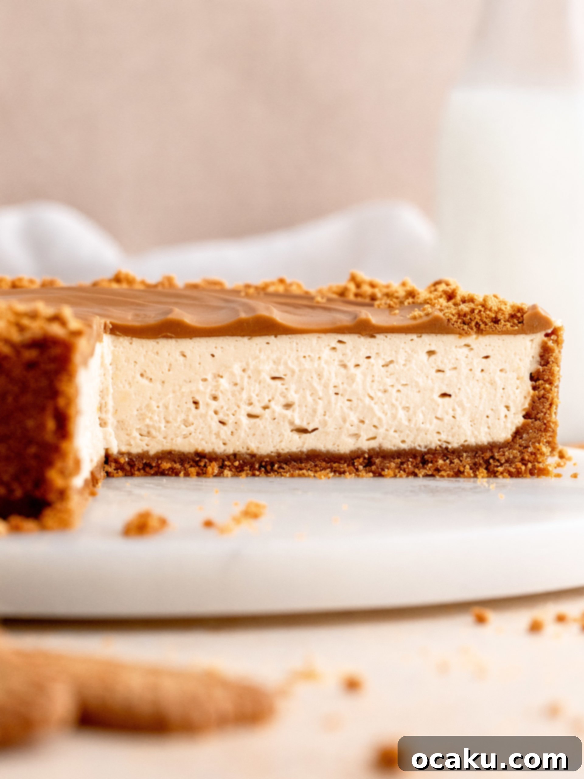 Aperol Spritz Cheesecake Close-up of creamy Biscoff Cheesecake