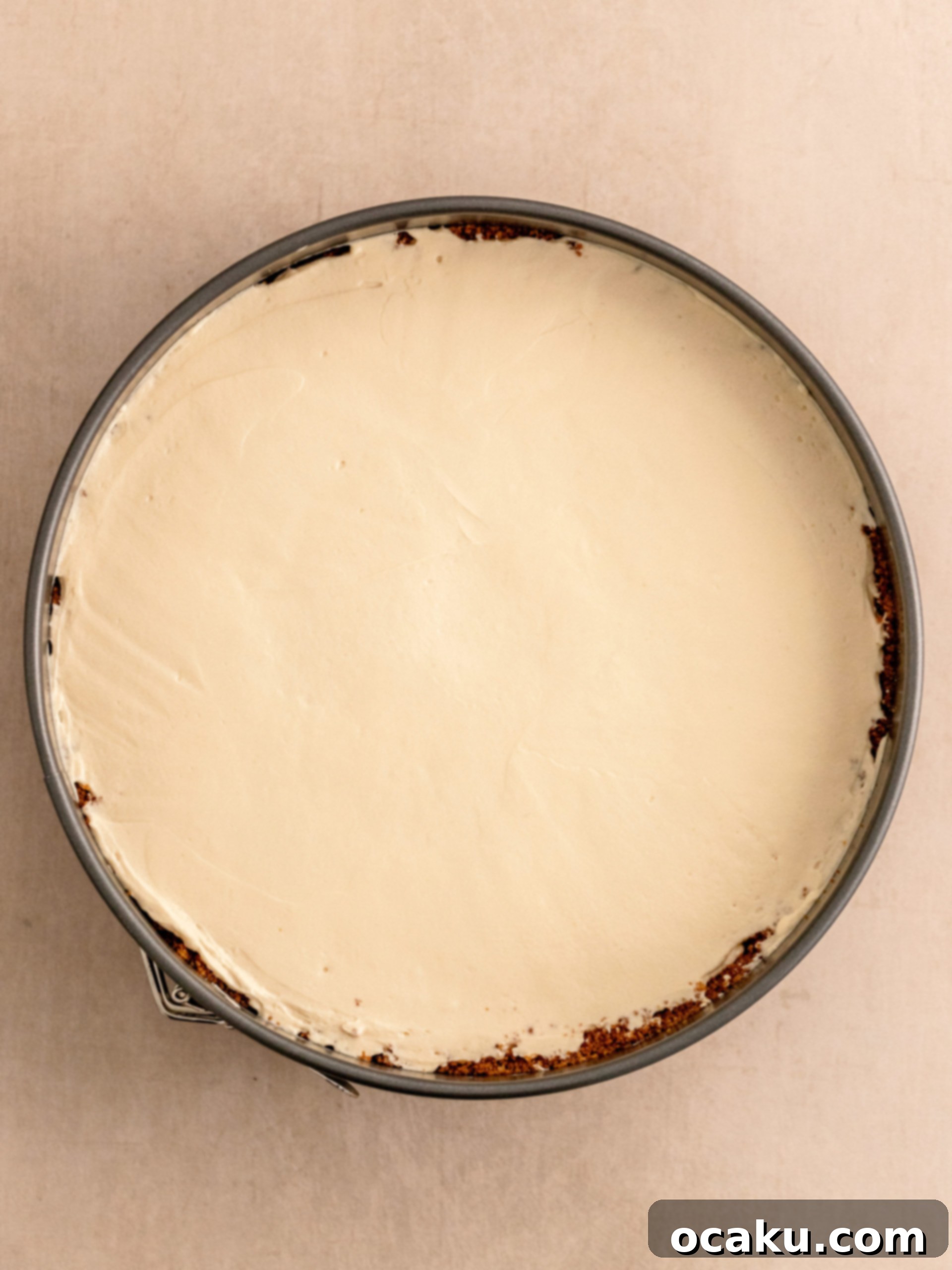 Caramelized Biscuit Cheesecake 9 Chilled Biscoff Cheesecake