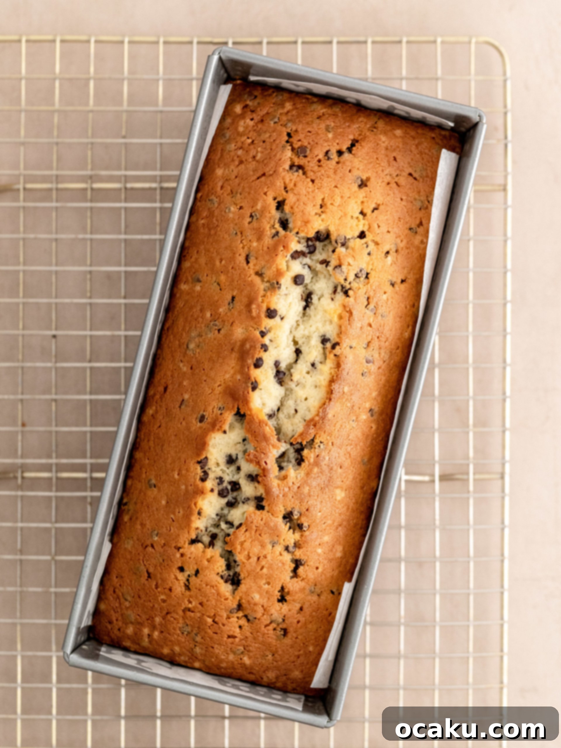 Mini chocolate chips being folded into the cake batter with a spatula.