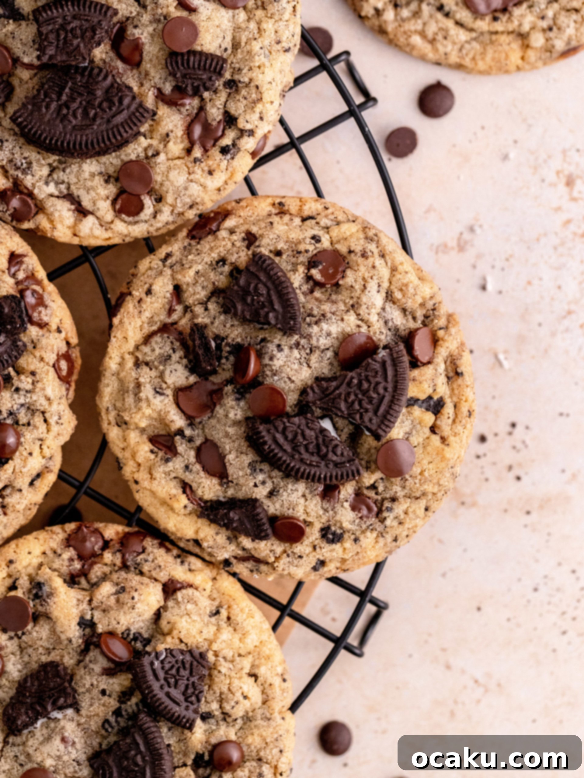 Crispy-edged, chewy-centered Oreo Chocolate Chip Cookies fresh from the oven, loaded with chocolate chips and Oreo pieces.