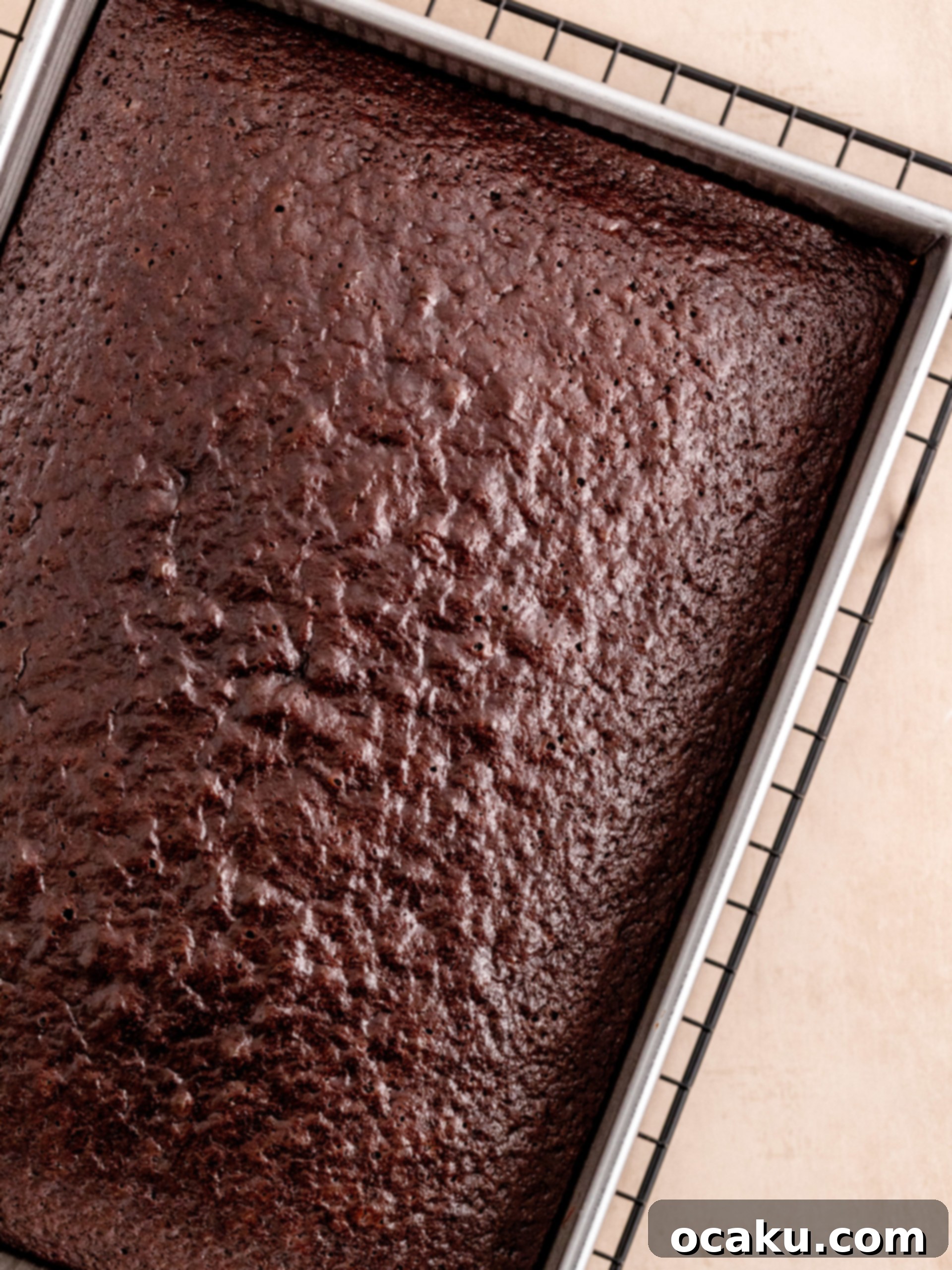 Blueberry Midnight Dream 7 Baked chocolate cake in pan on cooling rack