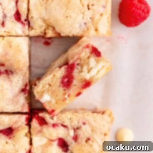 Delicious Raspberry and White Chocolate Blondies