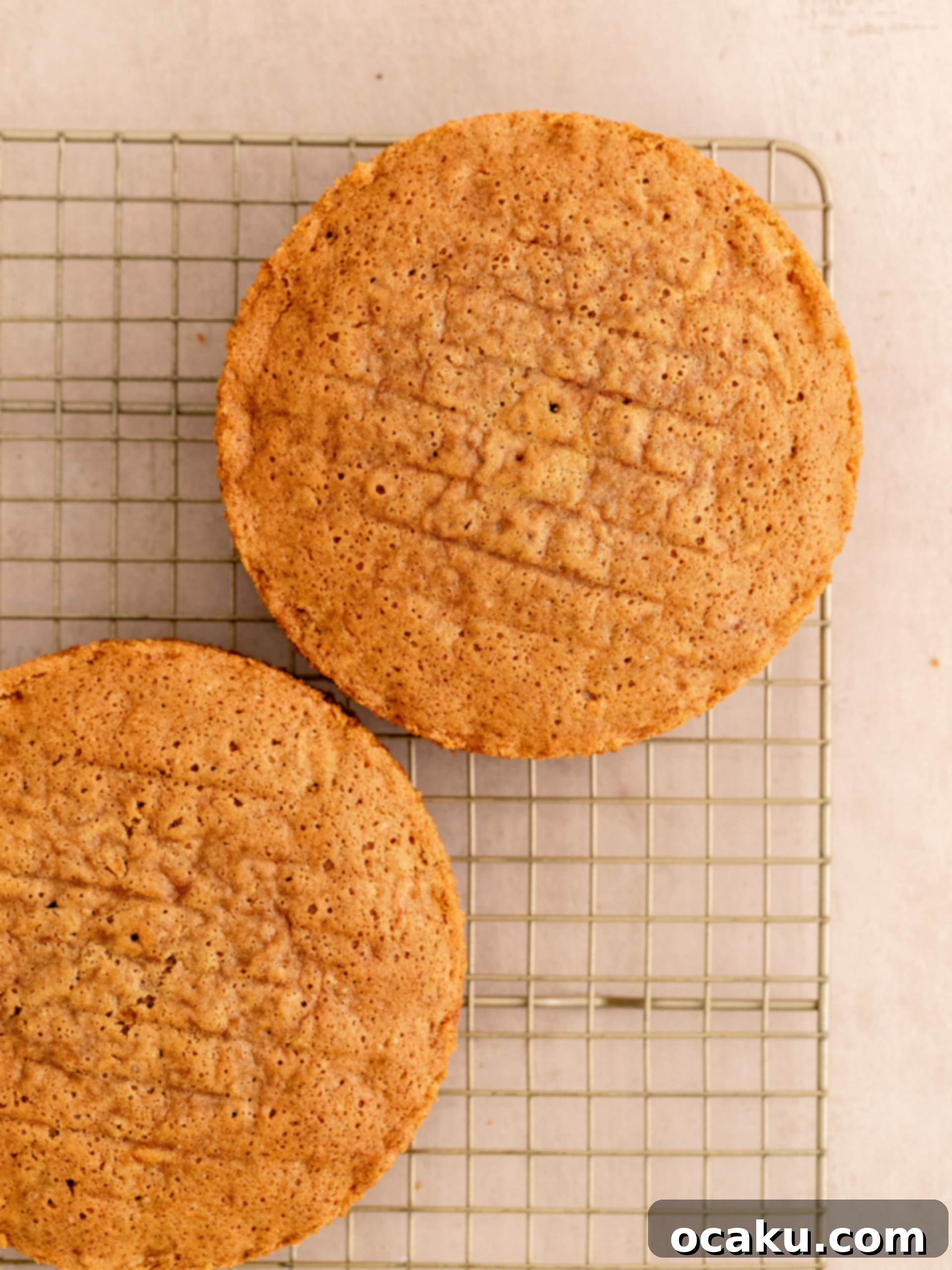 The finished carrot cake batter, perfectly mixed and ready for baking pans.
