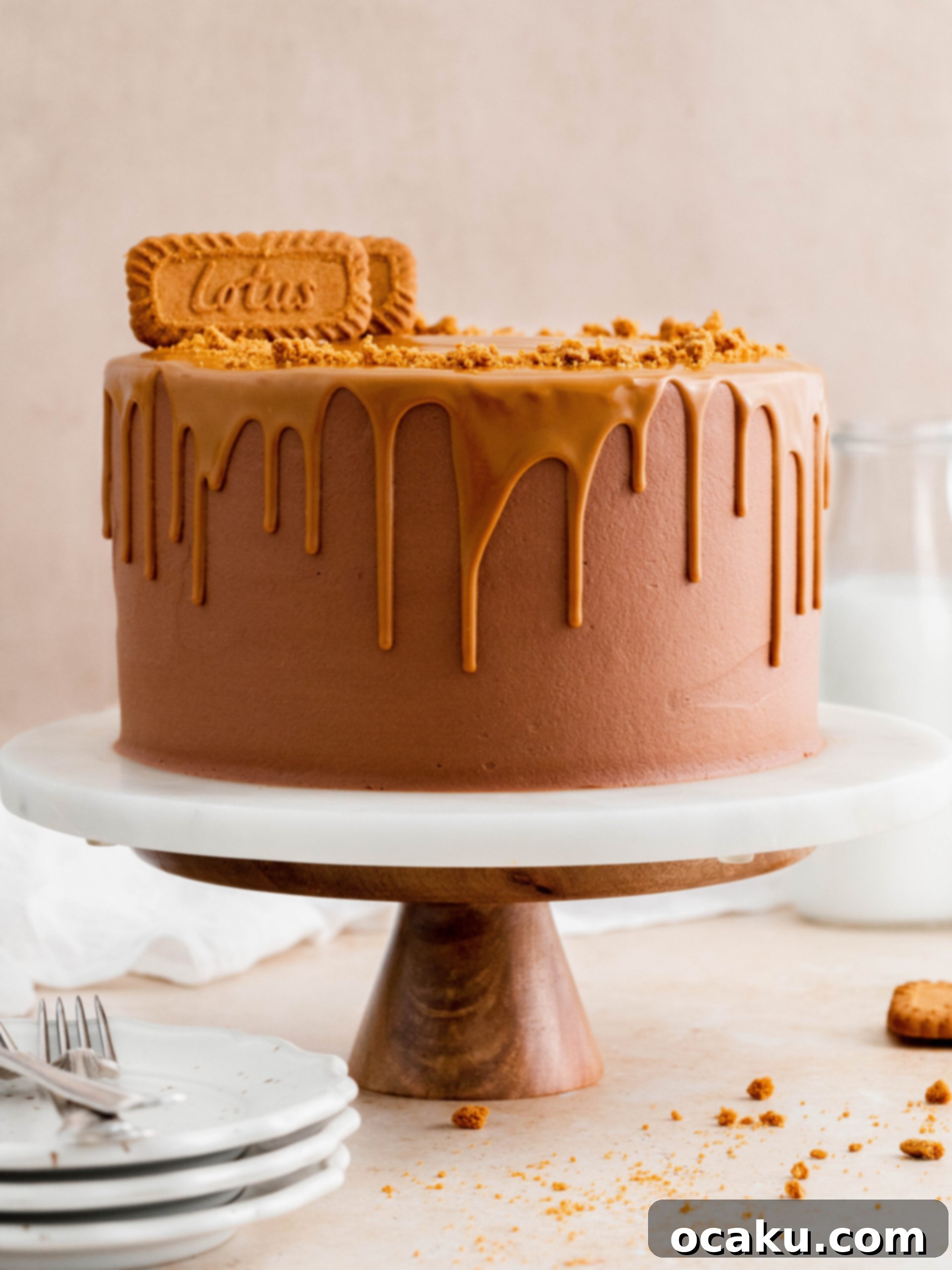 A stunning Biscoff Layer Cake with chocolate buttercream, Biscoff drip, and cookies on top