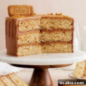 Biscoff Layer Cake with chocolate frosting and cookies