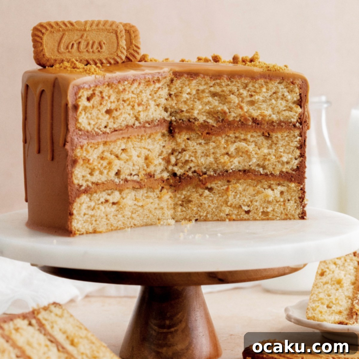 Close-up of a Biscoff Layer Cake slice, showing moist layers and chocolate buttercream