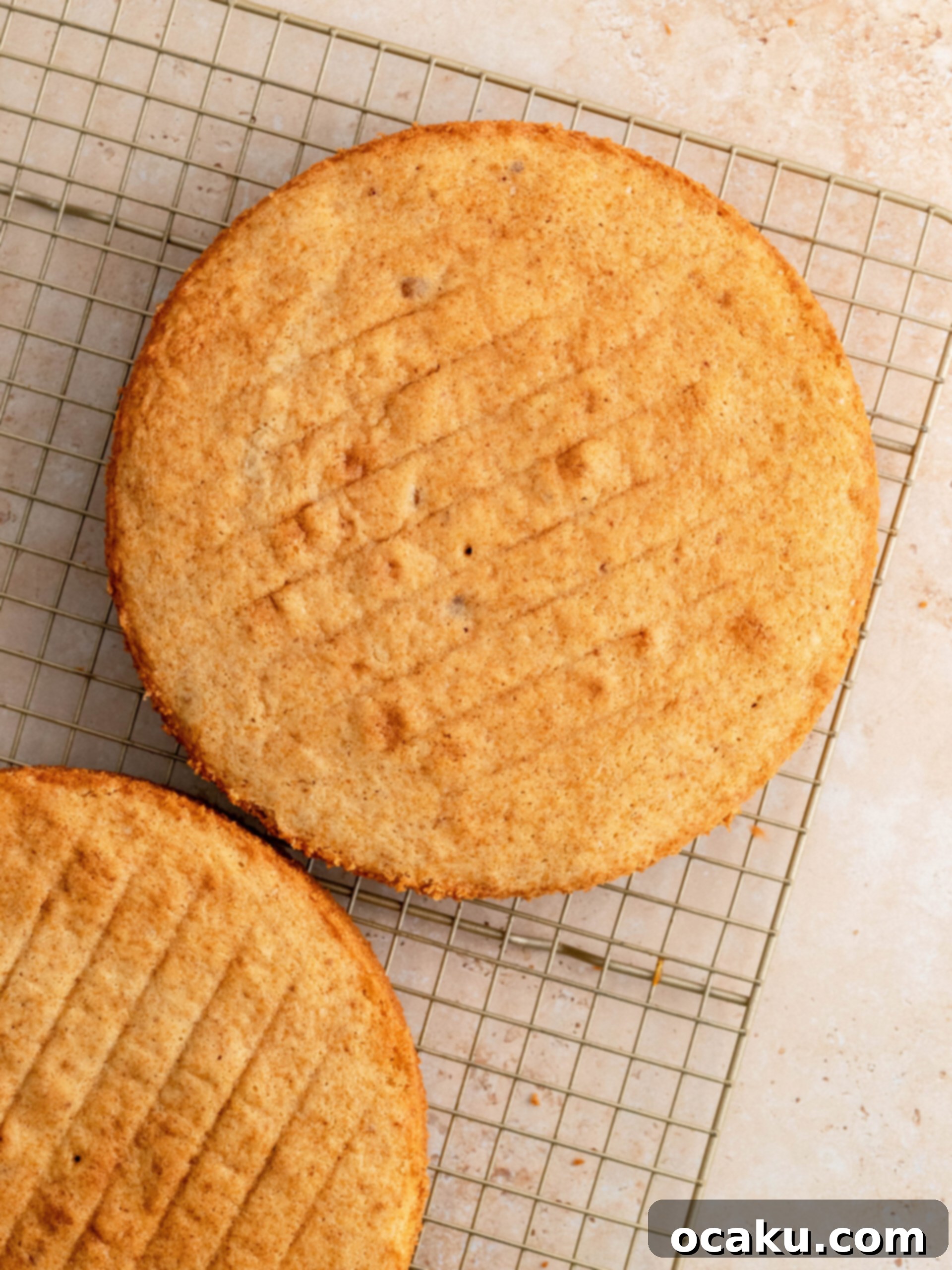 Close-up of fluffy chocolate buttercream in a mixing bowl