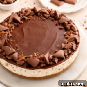 A delicious No-Bake Daim Cheesecake, garnished with chocolate ganache and Daim pieces.
