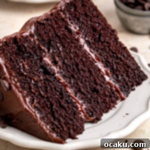 A slice of chocolate fudge cake on a plate.