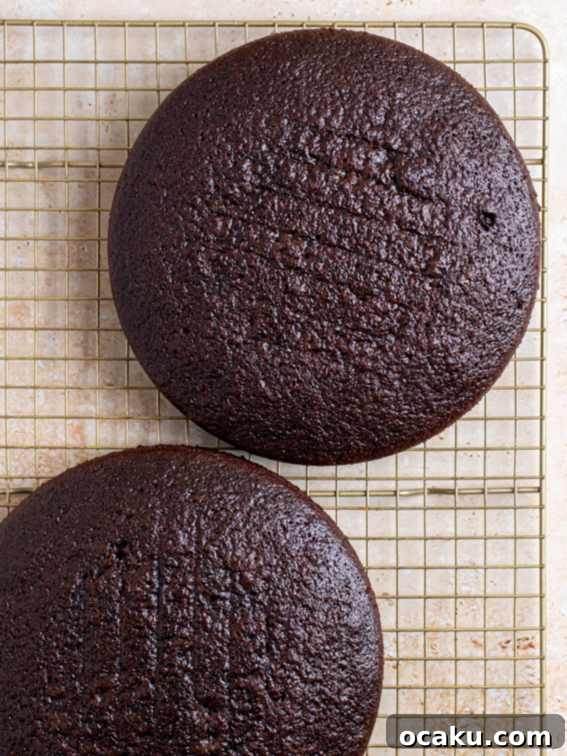 The finished chocolate fudge cake being decorated with chocolate chips.