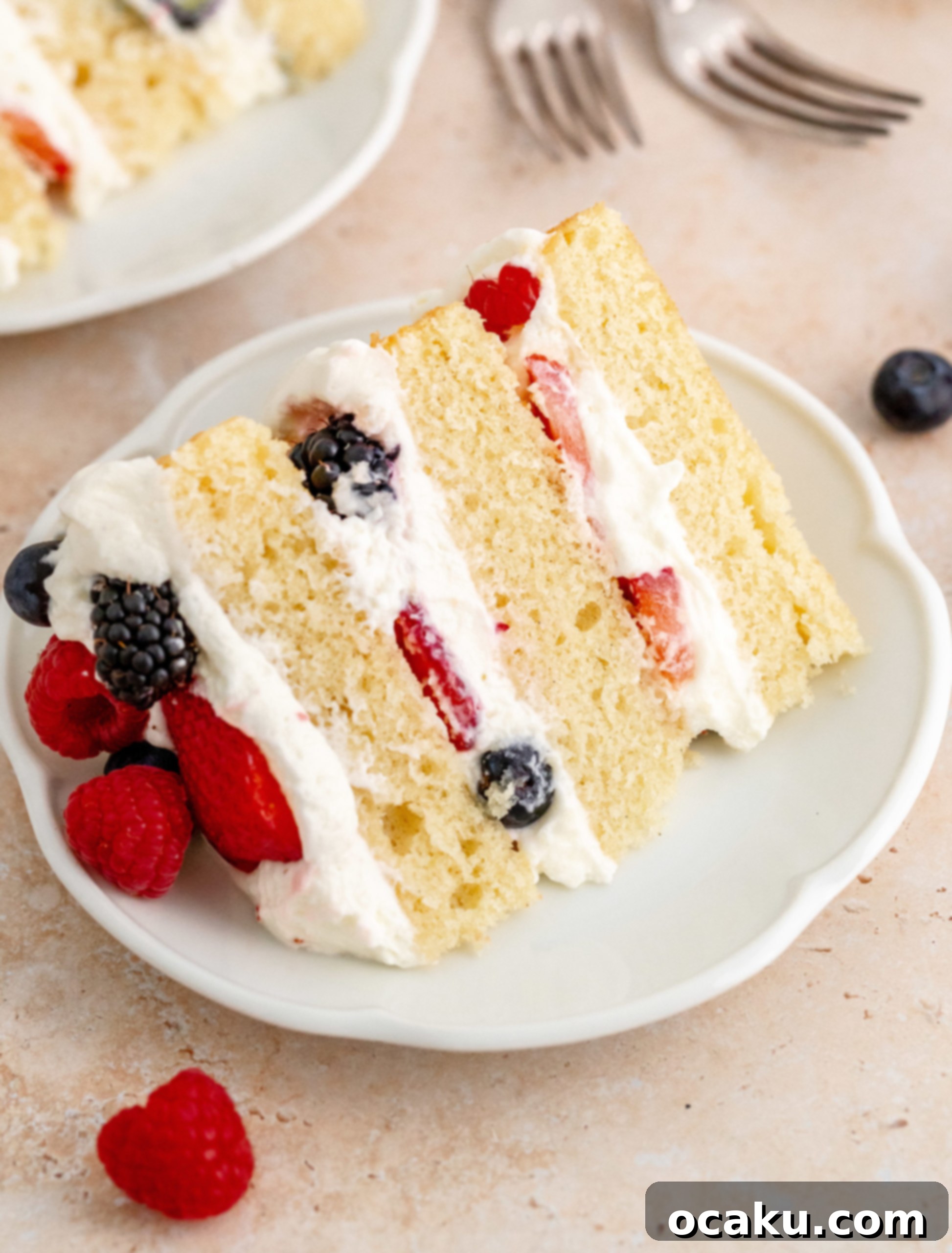 Berry Bliss Cake 11 Full view of the assembled fresh berry cake.