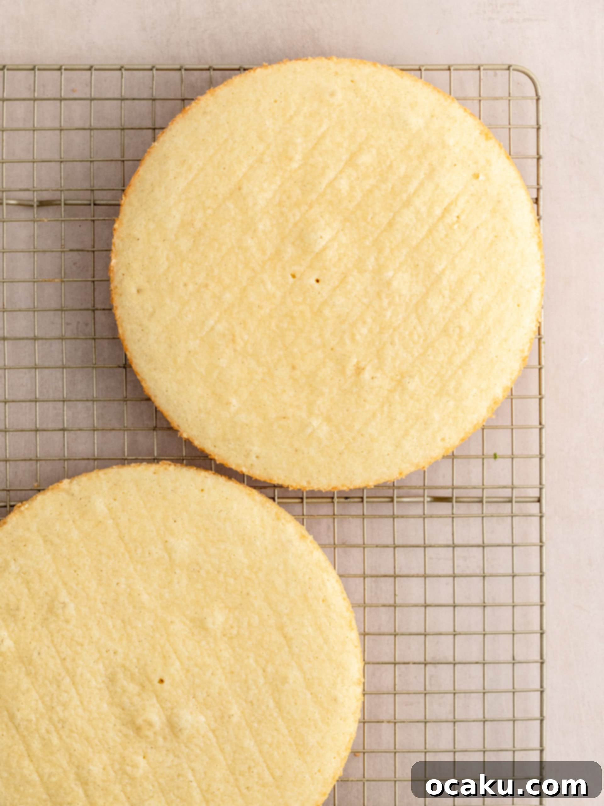 Berry Bliss Cake 8 Mascarpone cream being whipped.